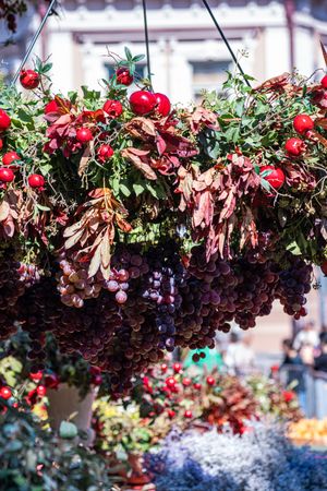 Autumnal composition with ripe fruits and vegetables