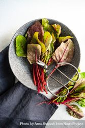 Bowl of beetroot leaves with kitchen scissors 5Xr3Zo
