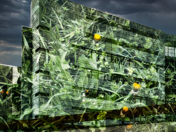 Green building. The new glass and concrete building is covered with grass.