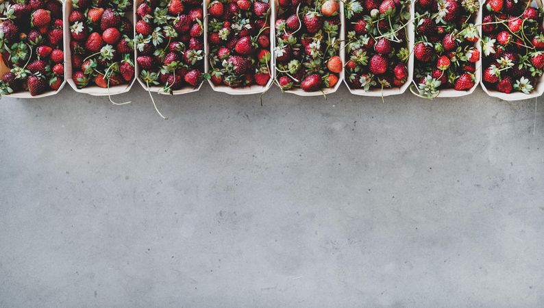 Strawberries in eco-friendly plastic-free boxes, lined up on concrete background, copy space