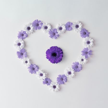 Heart shape made of violet and daisies