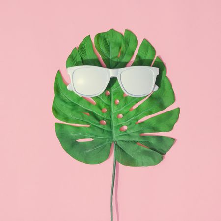 Monstera leaf and painted sunglasses on pink background