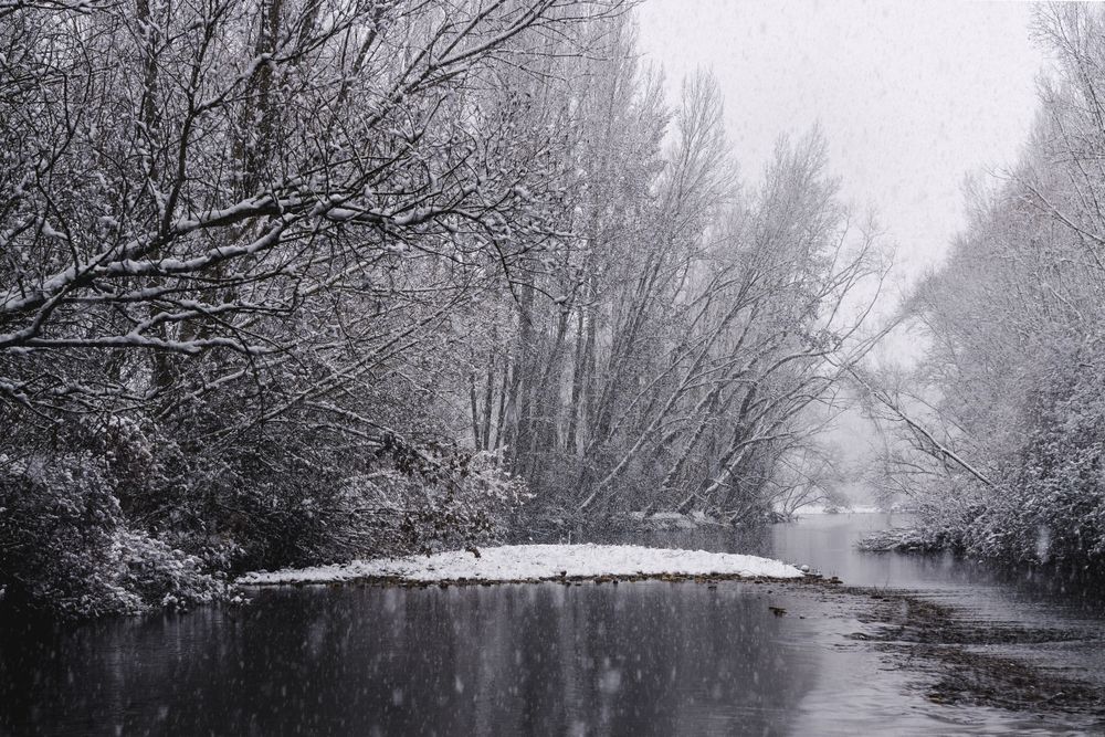 River streaming between snow forest