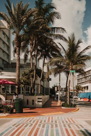 MIAMI, USA - November 13, 2018: View of beautiful city street