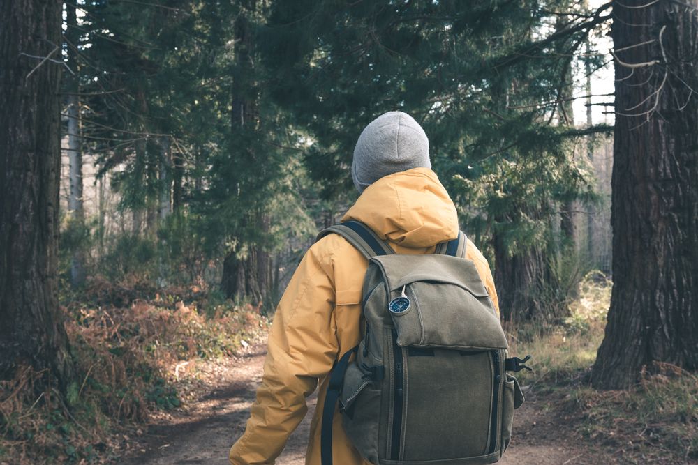 Unrecognizable traveler in conifer forest