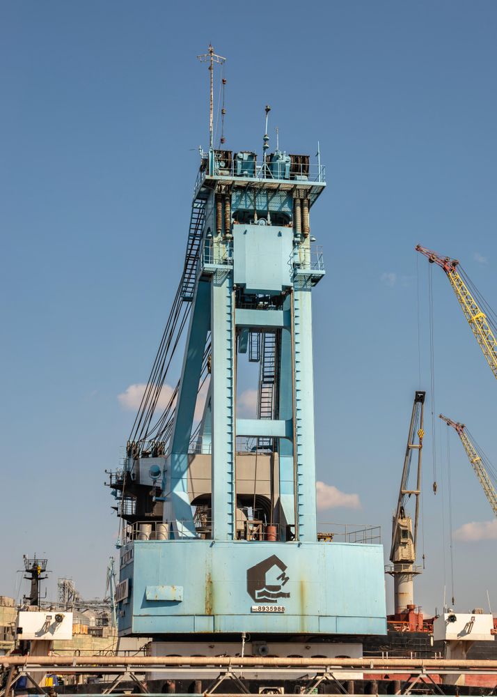 Blue crane under blue sky