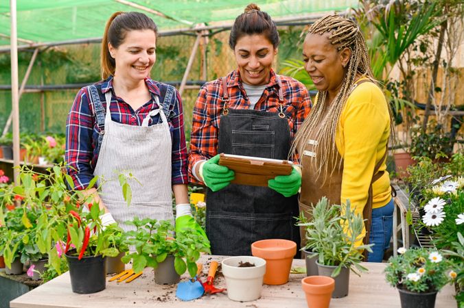 Content multiracial female farmers using tablet during work in garden