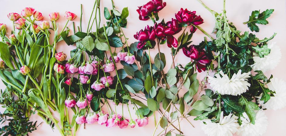 Various sorted summer flowers flat-lay, wide composition