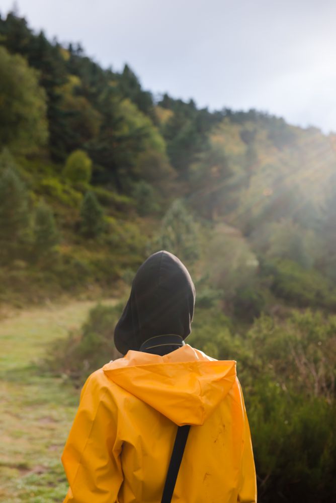 Person in yellow raincoat walking in forest