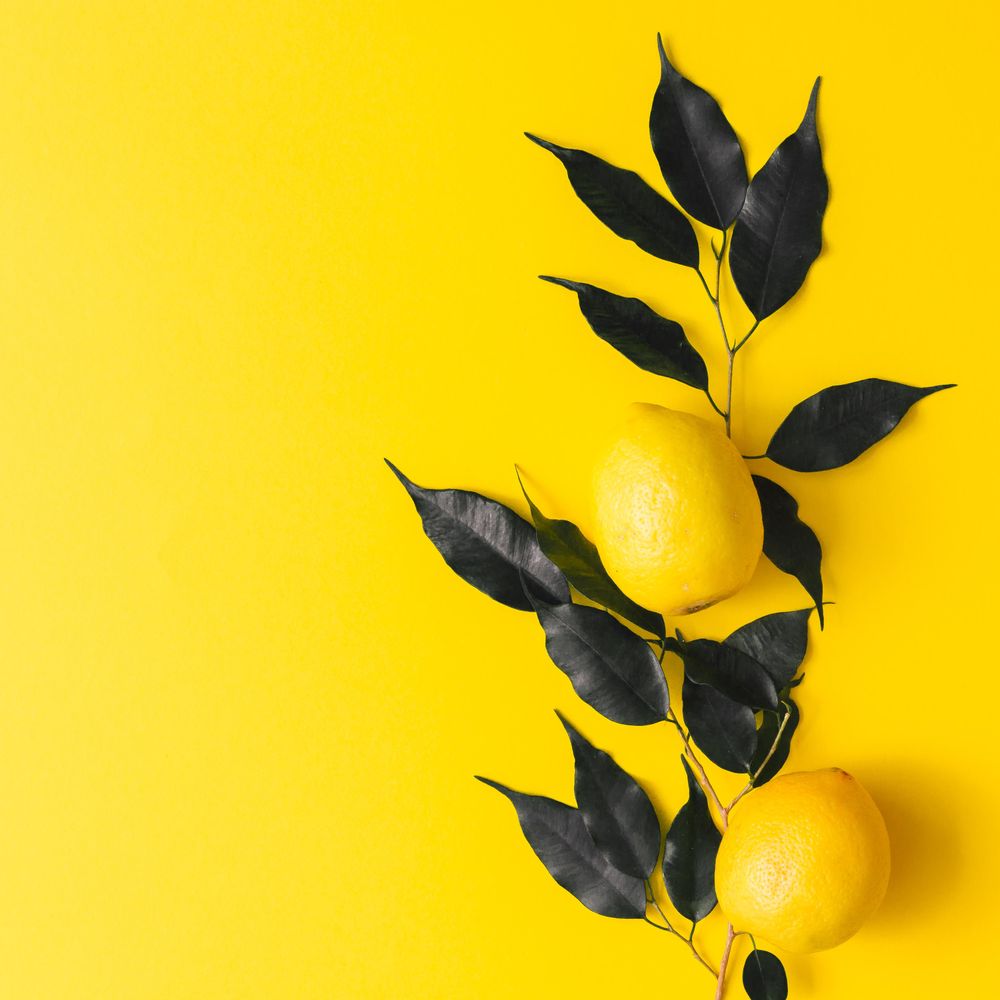 Lemon and dark leaves on yellow background - Free Photo (5opwx4) - Noun  Project