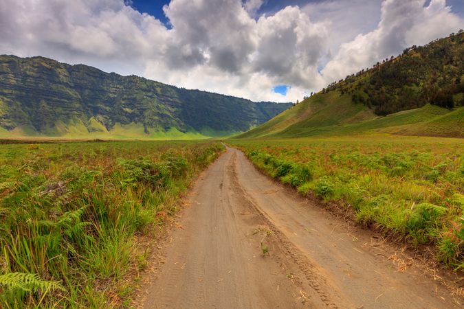 Road to Savanah
