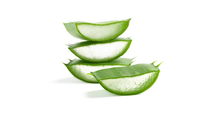 Aloe vera slices isolated on blank background. Herbal medicine