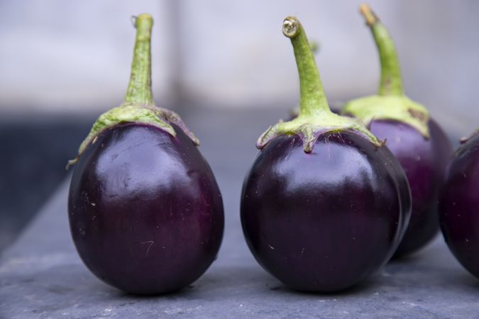 Fresh round eggplant on a grey concrete floor