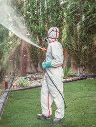 Fumigator in uniform spraying substance on garden