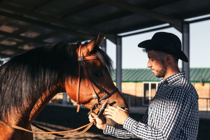 Man taking care of his brown horse in an equestrian center