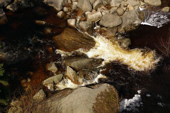 Mountain small raging river in woods