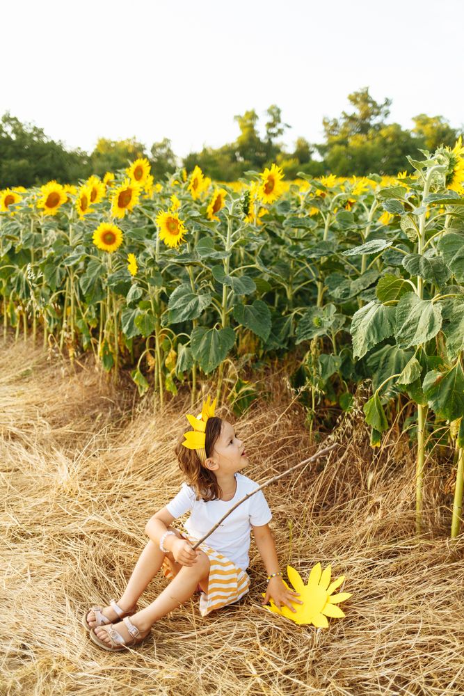 Cute child in blooming sunflower field