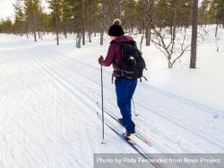 Woman cross country skiing in forest bD7784
