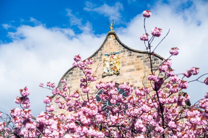 Canongate Kirk in the spring