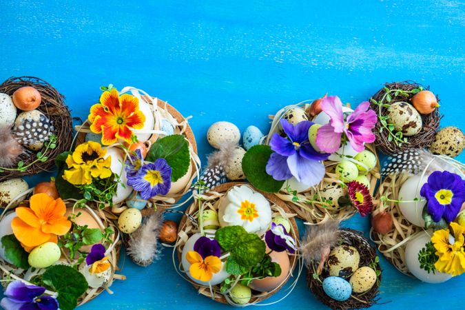 Easter holiday card concept with top view of cute eggs and colorful delicate flowers