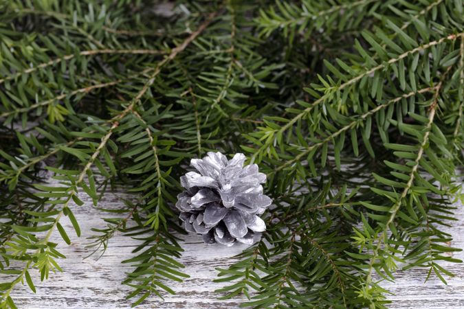 Close up of a silver pinecone ornament with real fir branches on rustic wood for the Christmas or New Year holiday background