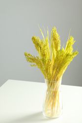 Vertical composition of vase with yellow reed grass in grey room with copy space