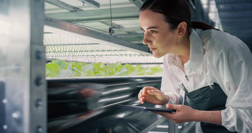 Female Biology Scientist Closely Inspecting and Analyzing Young Growing Crops. Farming Engineer Using Tablet Computer and Working in a Vertical Farm Next to Rack with Natural Eco Plants