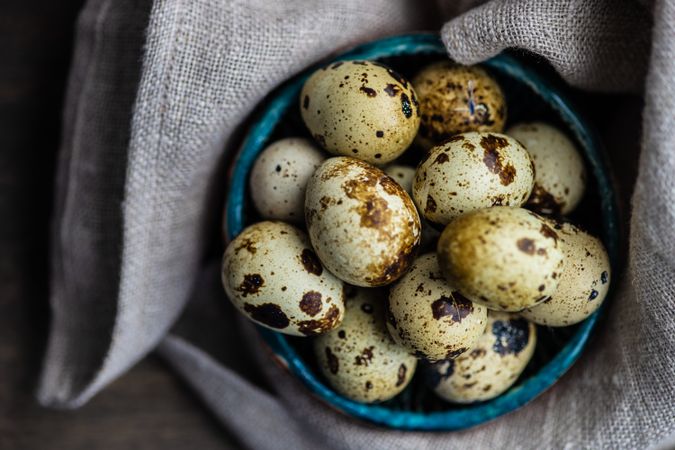 Healthy food concept of fresh quail eggs