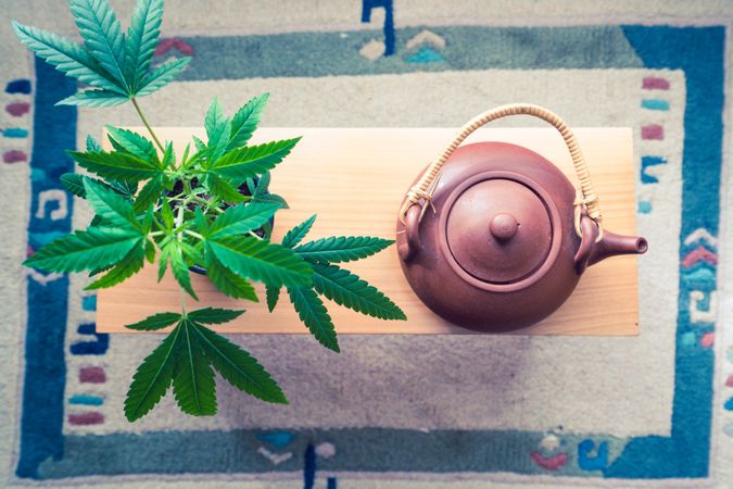 Top view of tea pot & marijuana plant
