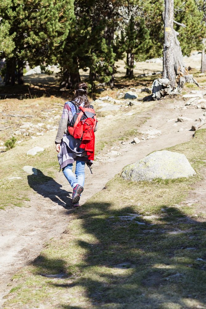 Back of brunette woman walking in the woods