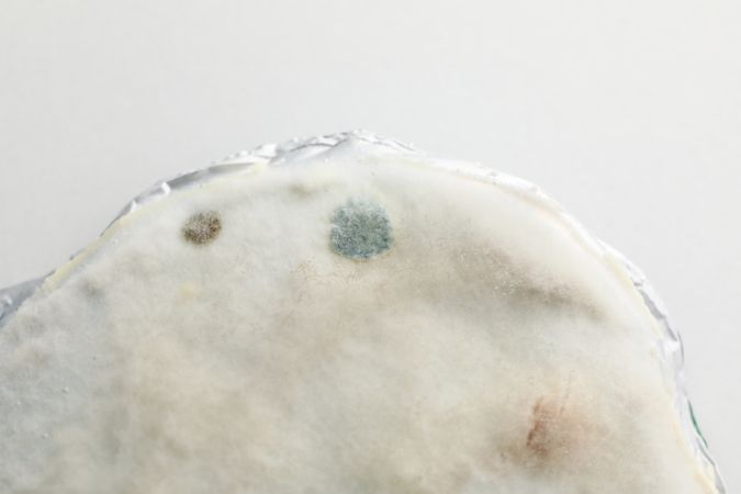 Concept of mold, light background, close up