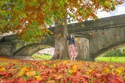 Woman under a tree with falling leaves
