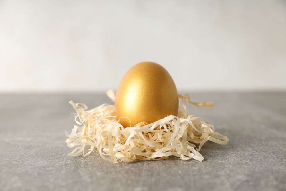 Golden egg, pension savings, investments and retirement