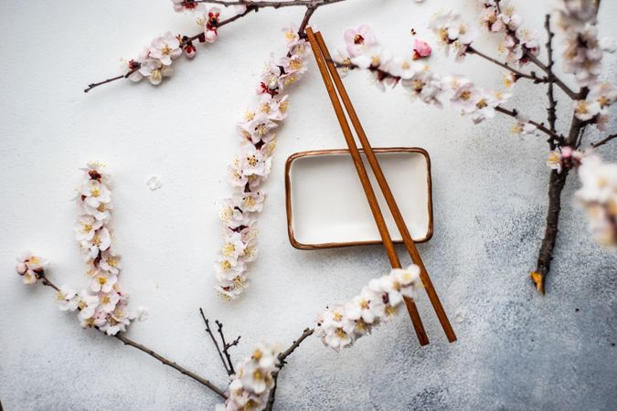 Asian style table setting with apricot blossom on trey with chop sticks