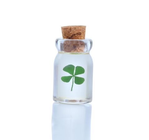 Four leaf clover in bottle for St. Patrick day symbol isolated on blank background