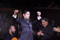 Flamenco performance on stage
