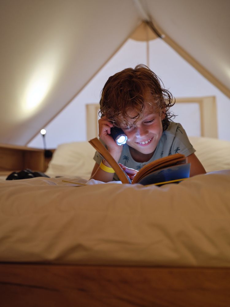 Cheerful boy reading book with flashlight