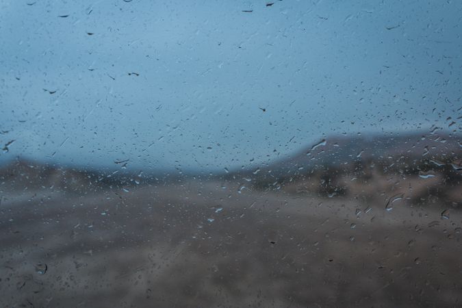 Desert gloomy landscape with green vegetation