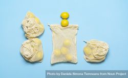 Lemons in reusable bags 5q9QJ5