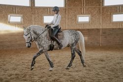 Rider riding dapple gray horse in round arena