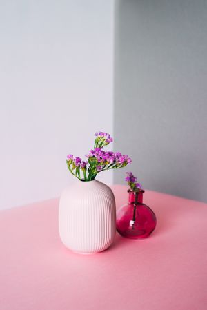 Violet sea lavender flowers in a multicolor background