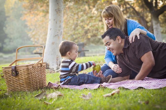 Family Having Picnic In The Park
