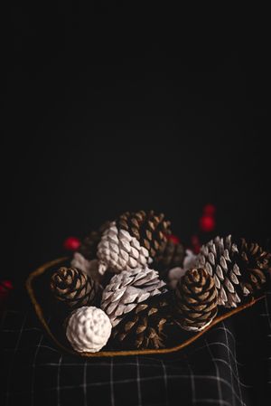Painted conifer cones in bowl