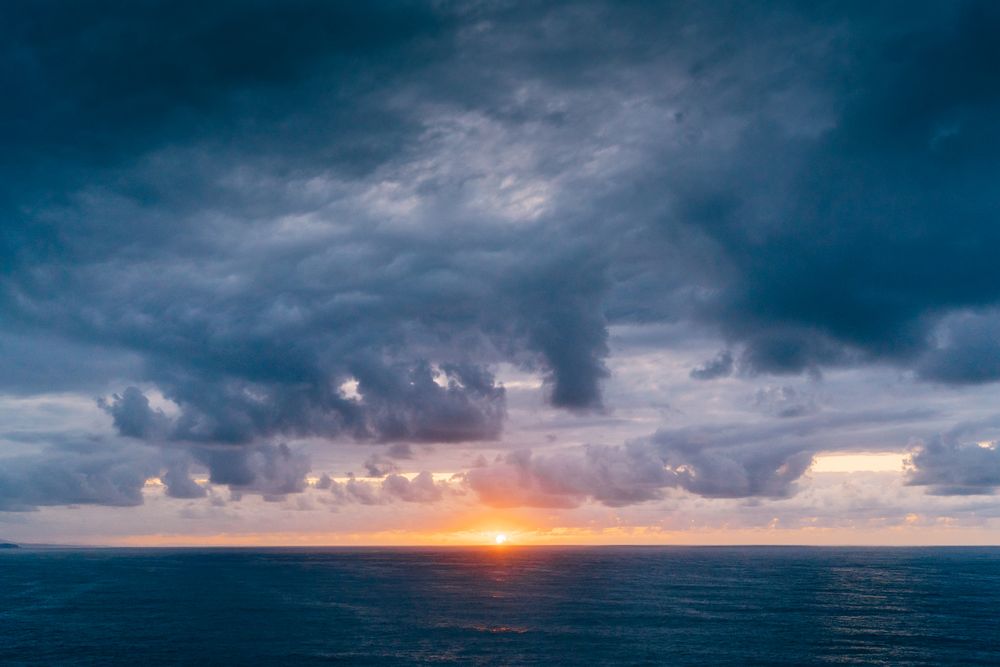 Grassy shore near stormy sea in evening