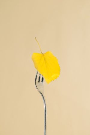 Autumn yellow leaf on a fork