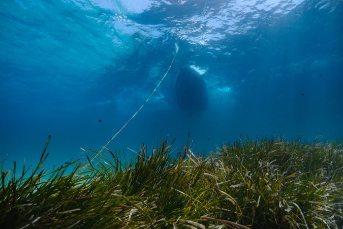 View from bottom of sea on floating yacht