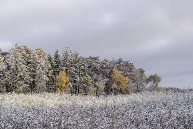 First snow and morning light in McGregor, Minnesota