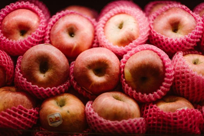 Set of fresh apples in packing protective net