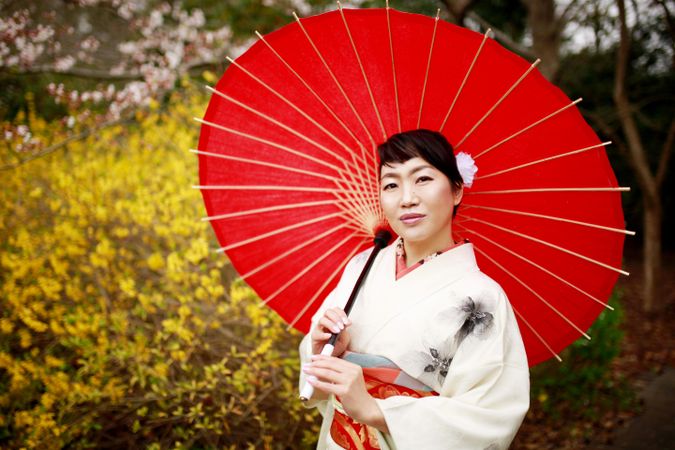 Portrait of Japanese woman in light kimono holding a red umbrella standing near yellow meadow