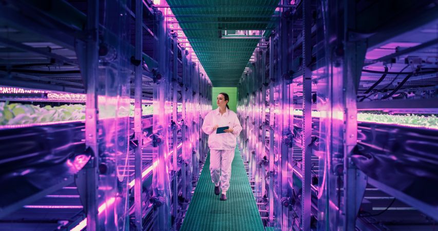Female Hydroponics Specialist Walking in a Vertical Farm Corridor with LED Lights Illuminating the Plants.